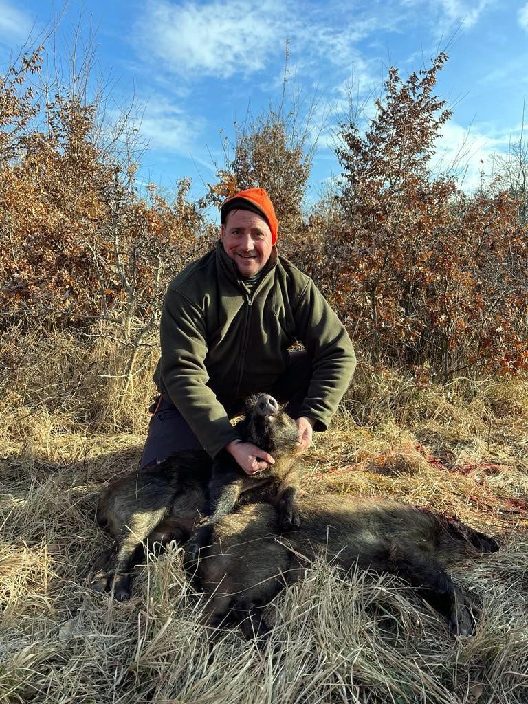 Driven Wild Boar Hunting Hungary – Unlimited Bags » Book Now, image size:768x1024