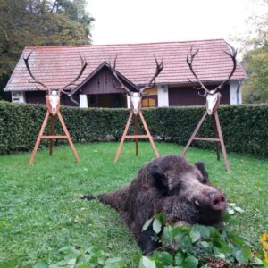 wild boar driven hunt Hungary, unlimited boar hunting Hungary, Hungarian boar estates