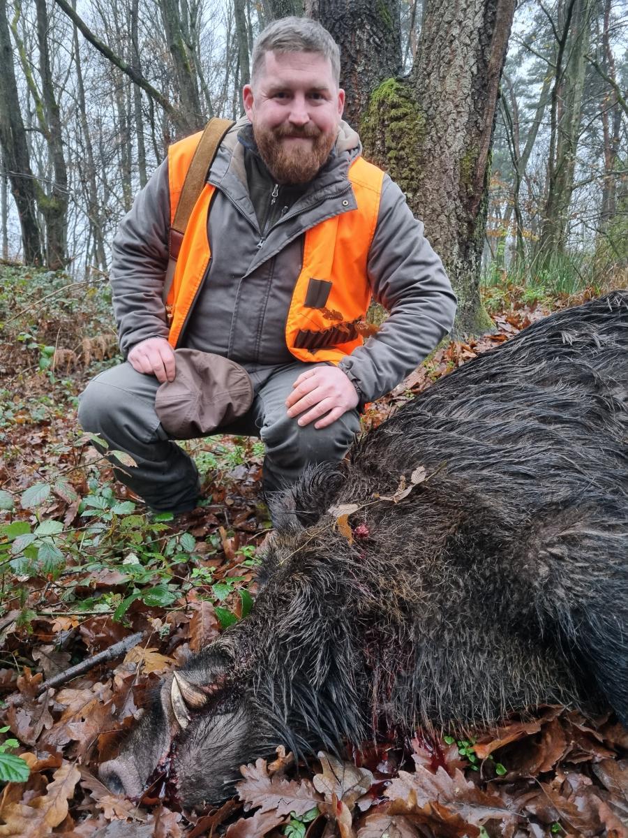 best driven boar hunts Hungary November, wild boar hunting packages Hungary prices