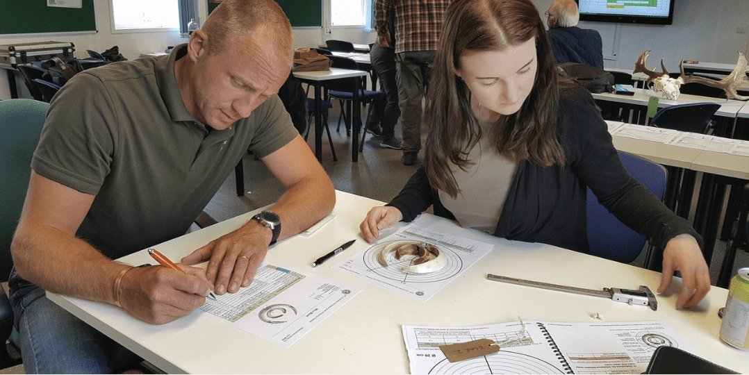 Measuring Wild Boar Tusks
