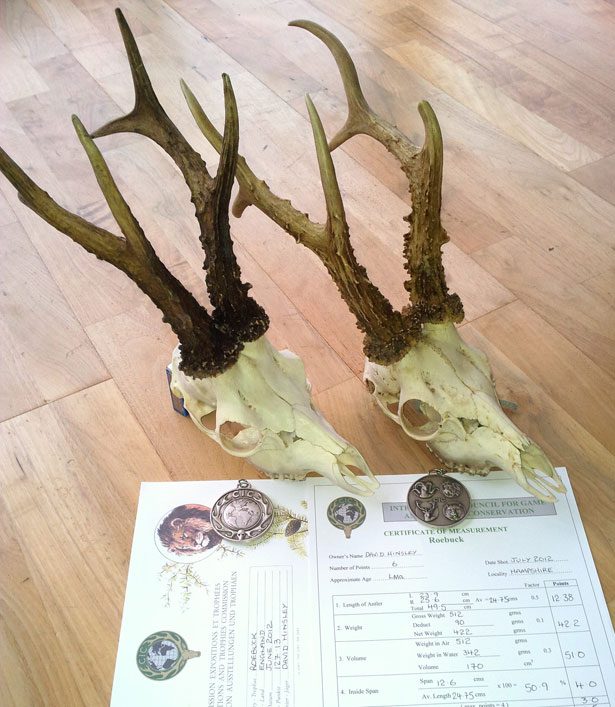 Silver Medal Roe Deer