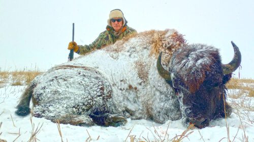 OI Client, Dave Kuehn with his awesome South Dakota Bison.