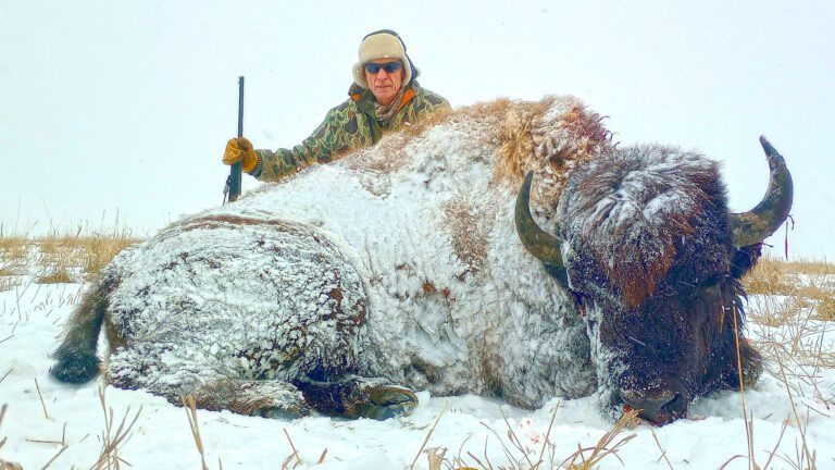 OI Client, Dave Kuehn with his awesome South Dakota Bison.