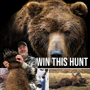 Win a Brown Bear Hunt on the Alaska Peninsula in the Oi Draw » Outdoors International Win a Brown Bear Hunt on the Alaska Peninsula in the Oi Draw