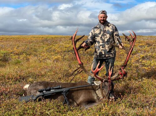 Trophy reindeer hunting in Alaska