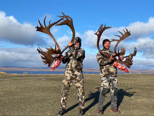 Two hunters in Alaska with two giant Reindeer bulls