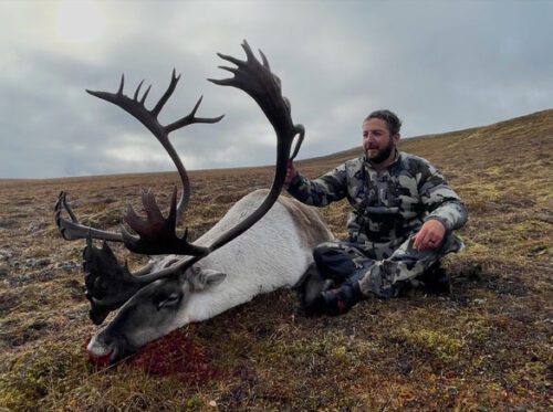 Trophy reindeer hunting in Alaska