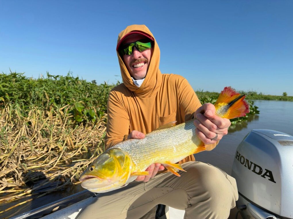 OI client, Anthony Danna with a nice Golden dorado he caught while fly fishing with our Premier outfitter in Argentina.