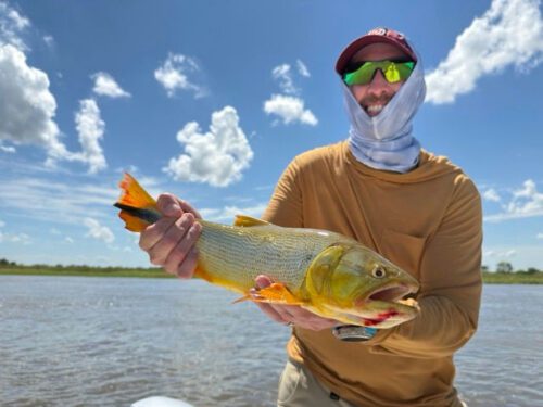 OI client, Anthony Danna with a nice Golden dorado he caught while fly fishing with our Premier outfitter in Argentina.