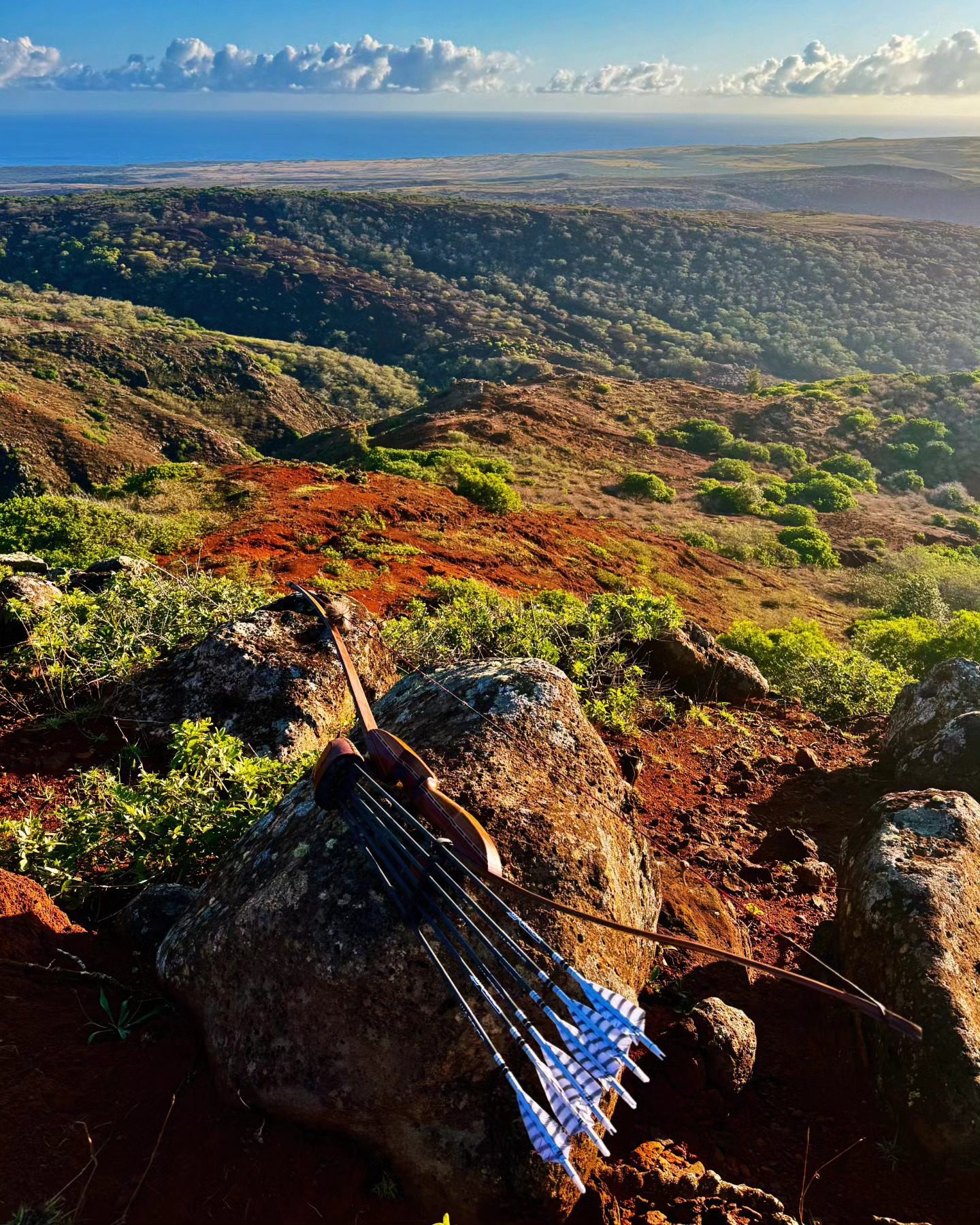 Hunting in Hawaii with a tradbow.