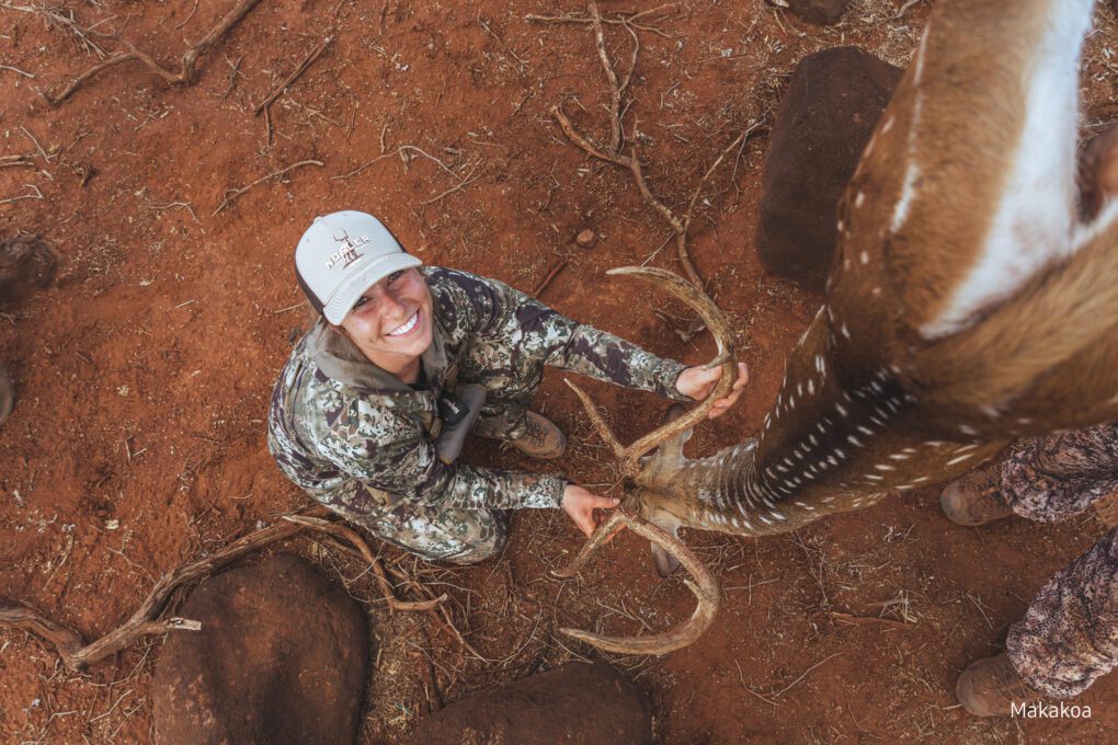Axis Deer hunts in Hawaii
