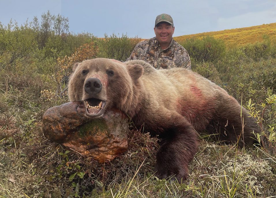 Fall Arctic Grizzly Bear Hunts out of Nome, Alaska