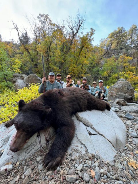 John with a great Arizona black bear.