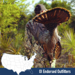 OI Endorsed Osceola Turkey Hunting Outfitters in Florida