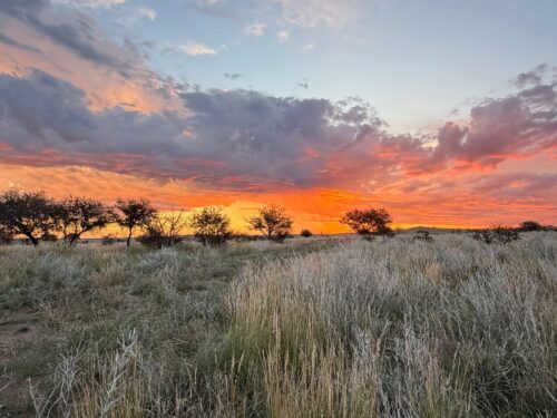 Argentina scenery and sunset.