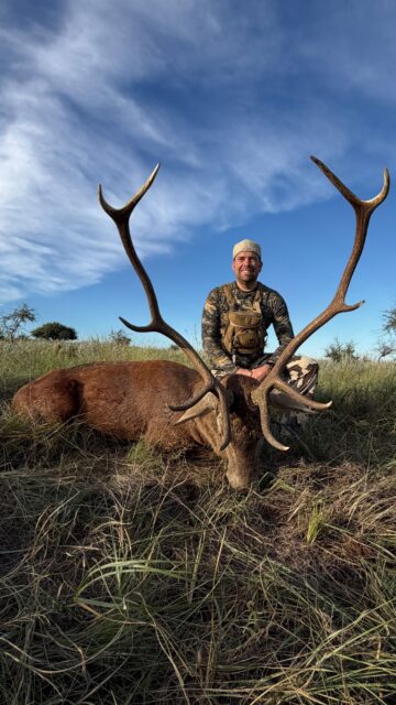 A hunter with a free range stag in Argentina