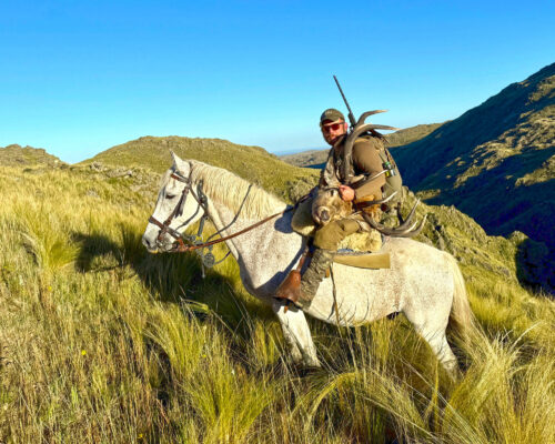 Tyler packing his stag out on horseback.