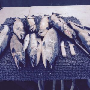 lore-d6a04485 » Outdoors International Alaska Salmon Fishing, Waterfowl, Cast and Blast (Camp-based Fly-in) — photo 9