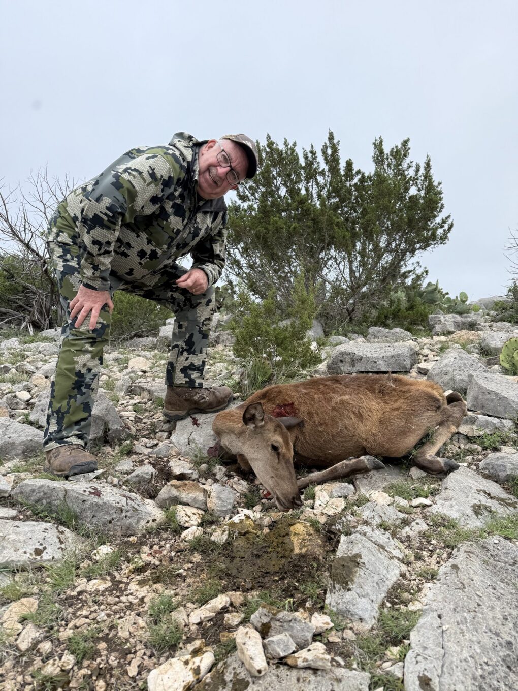 Irv Elson — hunter with harvested aoudad sheep on rocky terrain (Texas, 2026) » Outdoors International Irv Elson — hunter with harvested aoudad sheep on rocky terrain (Texas, 2026)
