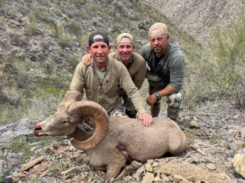 Jake Hanning — desert bighorn ram with hunters in Arizona (Mexico, 2026)
