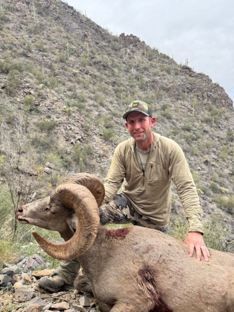 Jake Hanning — desert bighorn sheep ram in Arizona mountains (Mexico, 2026)