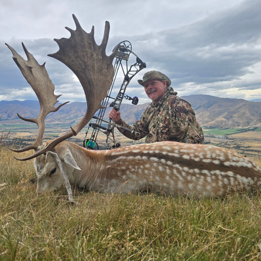 Jim Creigh — fallow deer buck taken with compound bow New Zealand (New Zealand, 2026)