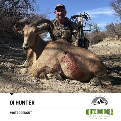 Hunter in camouflage kneels beside a large ram with curved horns, lying on rocky desert ground; blood on the animal's side visible near hindquarters, holding the ram's horn.
