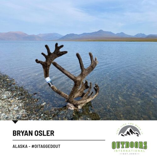 Bryan Osler — Alaska #OITAGGEDOUT