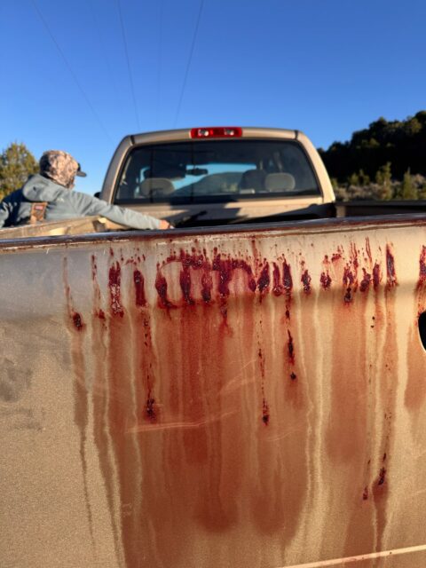 Person sits in the bed of a pickup truck facing away, with dark red streaks splashed across the tailgate under a clear blue sky.