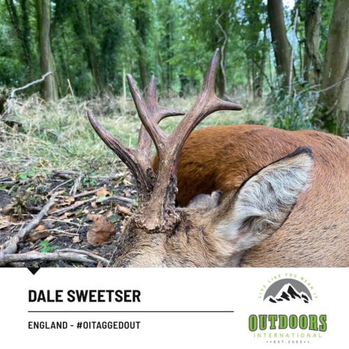 Dale Sweetser — England #OITAGGEDOUT