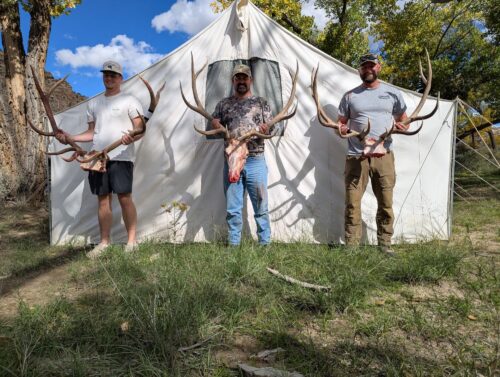 Three men stand in front of a white canvas tent outdoors, each holding a large deer antler rack with a deer skull at the base.