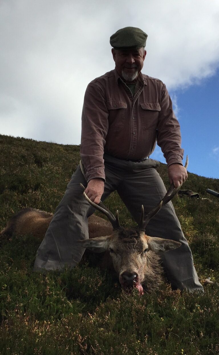 Mike Mulligan — red stag on Scottish hillside (Scotland, 2017)