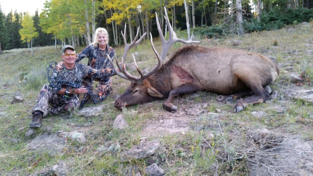 Mike Newman — bull elk bow hunt in aspen forest (Colorado, 2016)