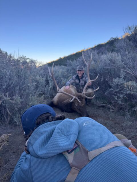 OI Client — bull elk with hunter in sagebrush (Colorado, 2026)