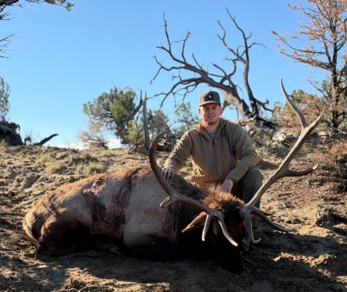 Hunter in a tan jacket and cap kneels beside a large dead elk with sprawling antlers in a dry, rocky landscape under a clear blue sky