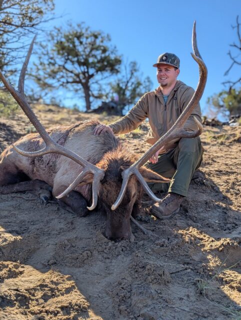 Man kneeling beside a large dead elk with impressive antlers on a dirt hillside, outdoors on a sunny day.