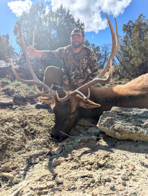 Man in camouflage kneels beside a large elk carcass with impressive antlers in rocky terrain under a bright blue sky.