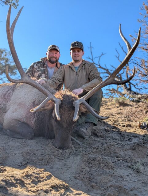Two hunters pose with a large elk they just harvested, kneeling on a dirt slope under a clear blue sky.