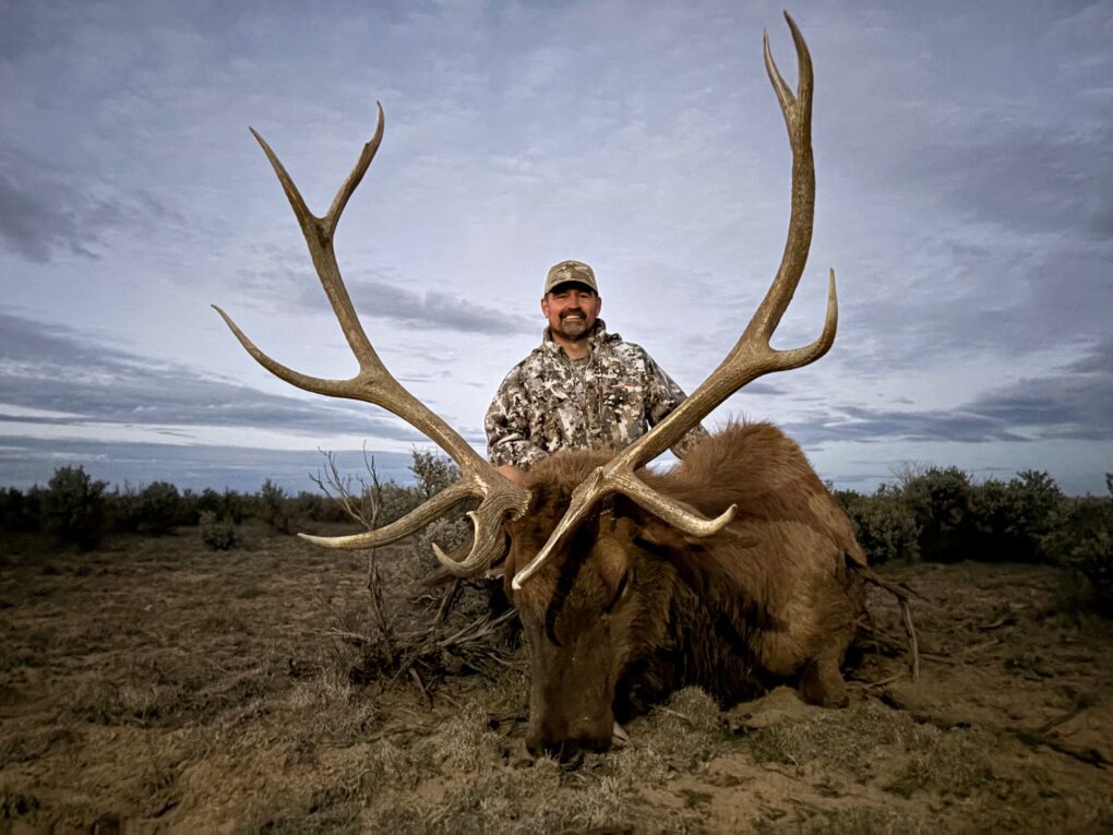 OI Client — trophy bull elk in sagebrush flats (New Mexico, 2026)
