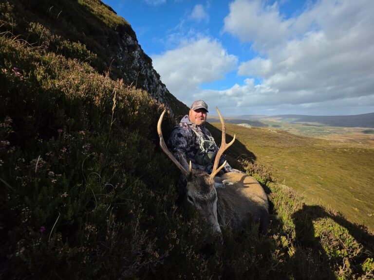 OI Client — red stag on Scottish highland hillside (Scotland, 2026)