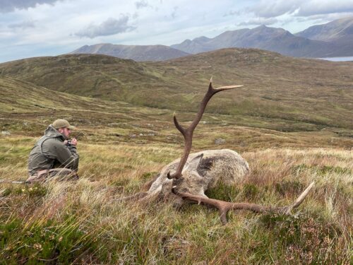 Hunter in a green jacket and cap sits in tall grass next to a dead deer with large antlers, set against rolling hills and distant mountains.