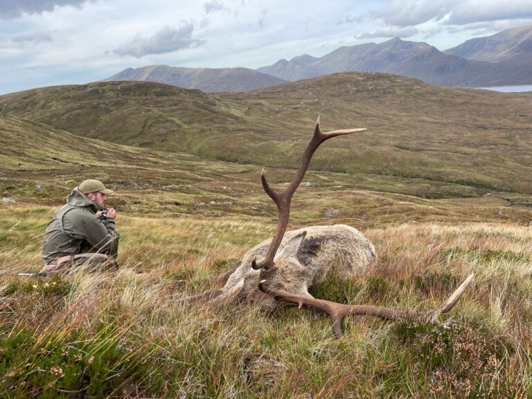 Hunter in a green jacket and cap sits in tall grass next to a dead deer with large antlers, set against rolling hills and distant mountains.