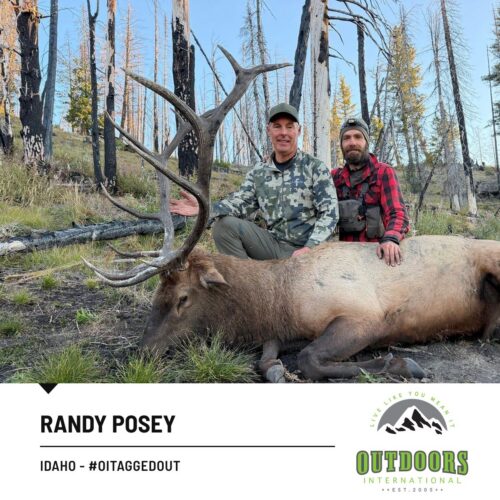 Two men pose with a large antlered elk lying on the ground in a burnt forest, one in camo, the other in red plaid, outdoorsy scene.