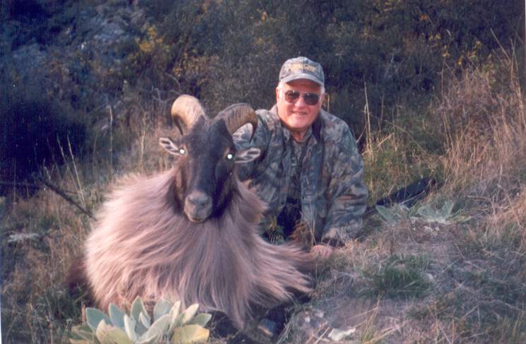 Hunting tahr in New Zealand