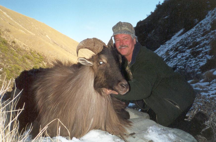 Tahr and Chamois are in rut in and have developed their beautiful, thick winter coats.